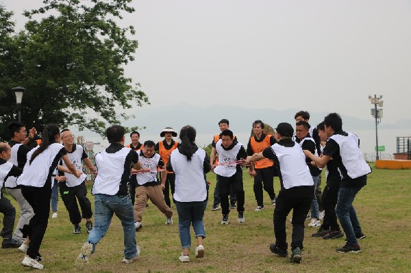 fengcai (4)